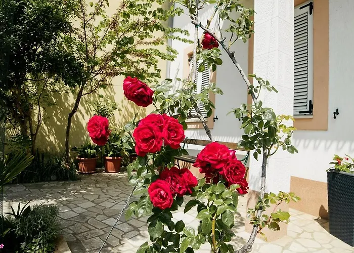 Appartement 2364c Selce