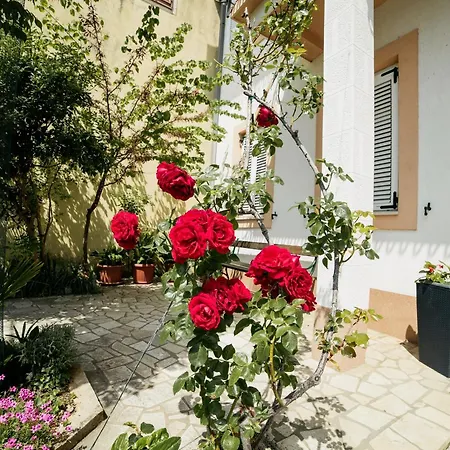 Apartamento 2364c Selce